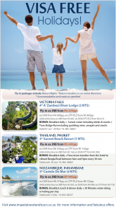 VisaTravel